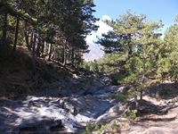 rrente Quarantore-20110911 004